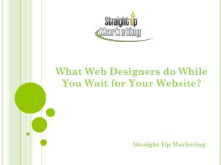 What Web Designers do While You Wait for Your Website?