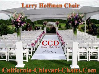 Larry Hoffman Chair