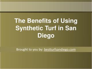 The Benefits of Using Synthetic Turf in San Diego