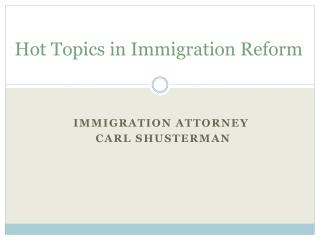 Hot Topics in Immigration Reform