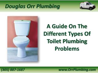 A Guide On The Different Types Of Toilet Plumbing Problems