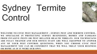 Termite Inspections blue mountains
