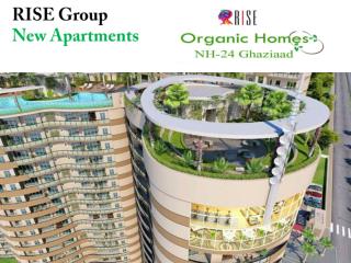 Rise Organic Homes - 9560090108