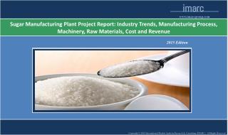 Sugar Manufacturing Plant | Cost, Production