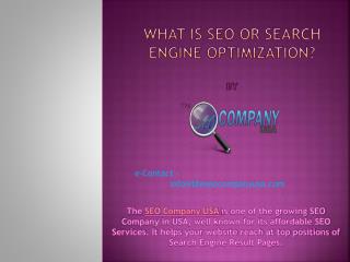 What is seo or search engine optimization