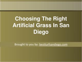 Choosing The Right Artificial Grass In San Diego
