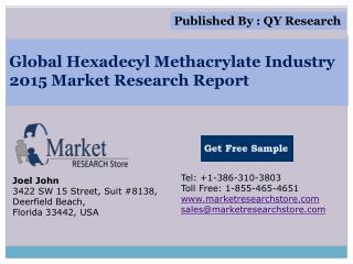 Global Hexadecyl Methacrylate Industry 2015 Market Analysis