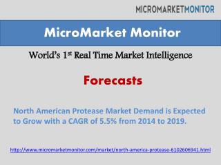 North American Protease Market Demand is Expected to Grow wi