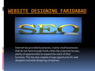 faridabad Web Design