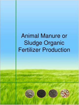 Animal Manure or Sludge Organic Fertilizer Production