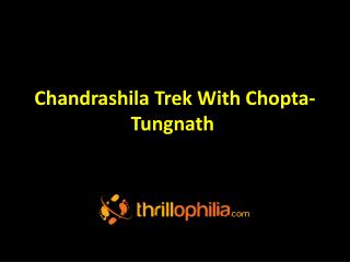 Chandrashila Trek with Chopta and Tungnath