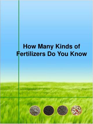 How Many Kinds of Fertilizers Do You Know