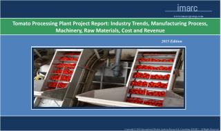 Tomato Processing Plant Project Report