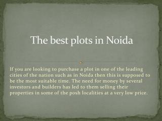 The best plots in Noida