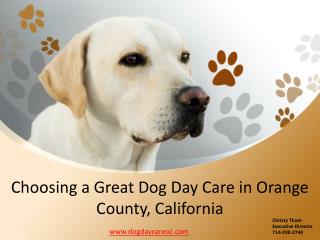 dogdaycareoc Online Presentations Channel