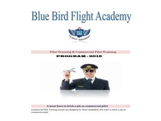 Pilot Training & Commercial pilot License - BBFA