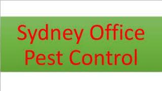 sydney office pest control service