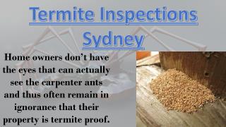 Sydney Termite Control