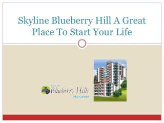 Skyline Blueberry Hill A Great Place To Start Your Life