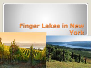 Finger Lakes in New York