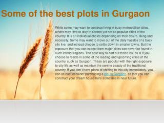 Some of the best plots in Gurgaon