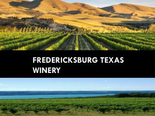 Fredericksburg Texas Winery