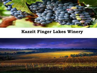 Kazzit Finger Lakes Winery