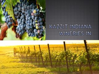 Kazzit Indiana Wineries IN