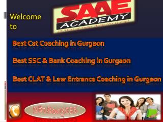 Best Cat Coaching in Gurgaon