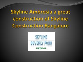 Skyline Ambrosia a great construction of Skyline Constructio
