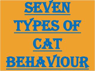 Seven Types of Ctas Behaviour