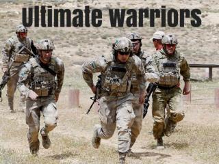 Ultimate warriors