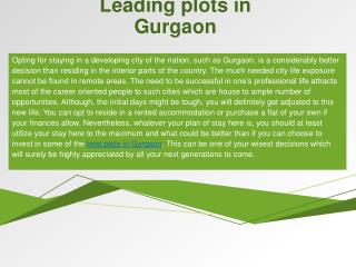 Leading plots in Gurgaon