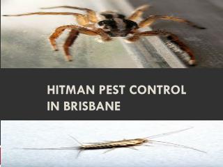 Hitman Pest Control In Brisbane