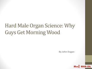 Hard Male Organ Science: Why Guys Get Morning Wood