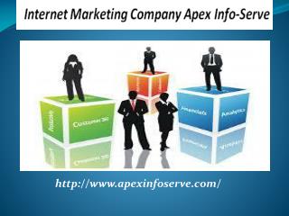 Ethical SEO Company USA - Apex Info-Serve