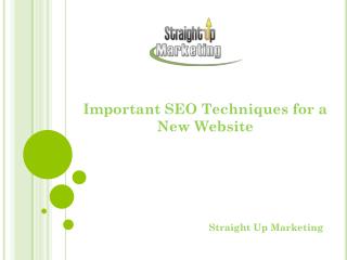 Important SEO Techniques for a New Website