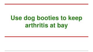 Use dog booties to keep arthritis at bay