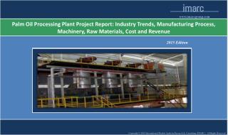 Palm Oil Processing Plant | Market Trends, Cost