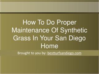 How To Do Proper Maintenance Of Synthetic Grass In Your San
