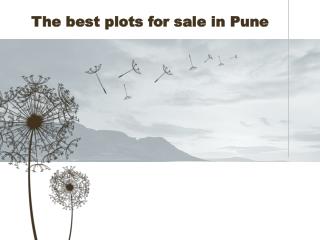 The best plots for sale in Pune