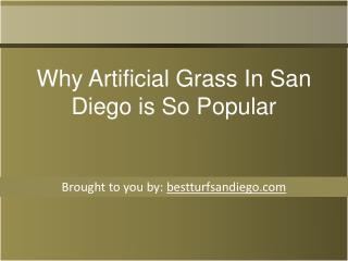 Why Artificial Grass In San Diego is So Popular
