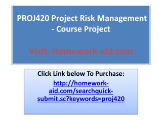 PROJ420 Project Risk Management - Course Project