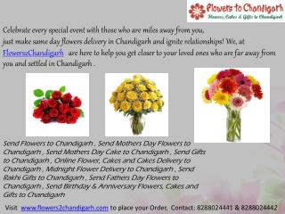 Send Rakhi Flowers to Chandigarh