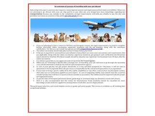 Pets Travel and Exporting Services UK with top Pet relocatio