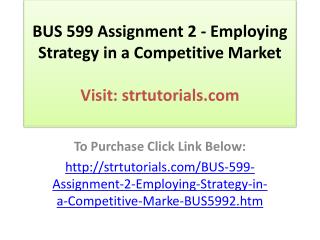BUS 599 Assignment 2 - Employing Strategy in a Competitive M