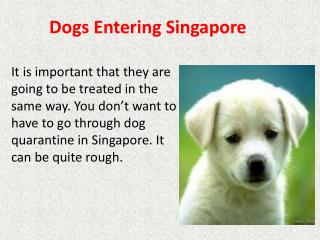 sembawang animal quarantine station