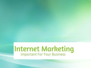 Internet Marketing Company in Chandigarh