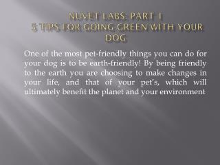 NuVet Labs: Part 1 - 5 Tips for Going Green With Your Dog
