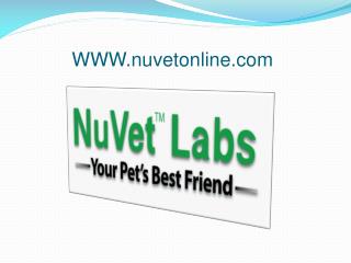 NuVet Labs Part 2 - 5 More Tips for Going Green With Your D